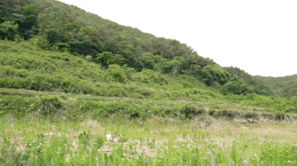 13a8d64a1e71278cc263e030cd5dfe18_1687428220_33.gif